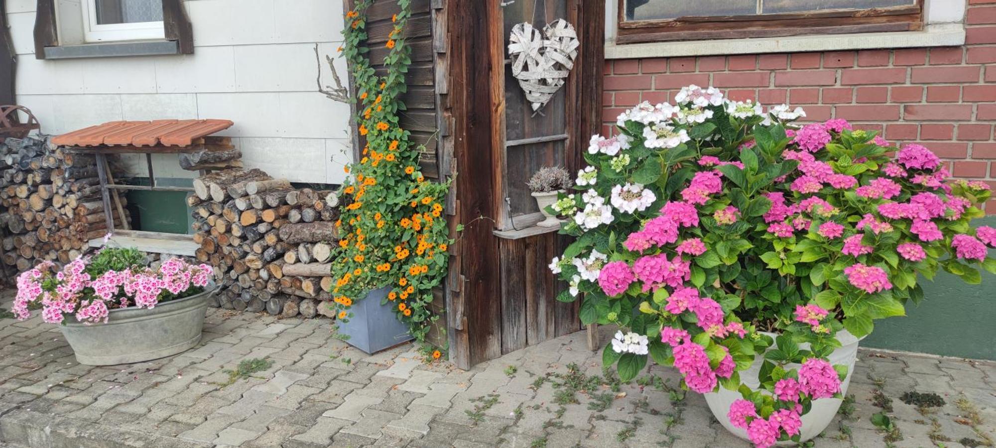 Gaestehaus Fechtig Hergensweiler Exterior foto