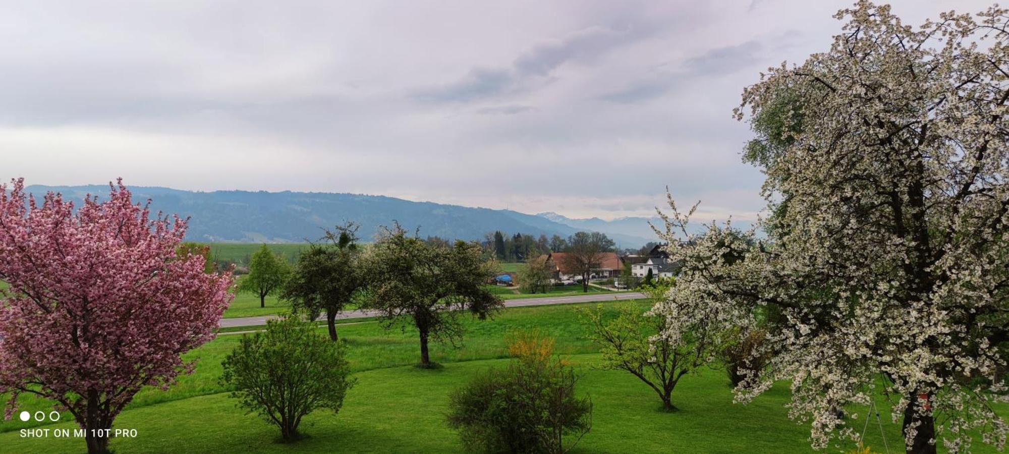 Gaestehaus Fechtig Hergensweiler Exterior foto